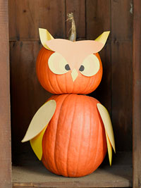 Owl_Pumpkin