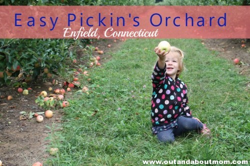 Easy Pickins Orchard_Out and About Mom_Header